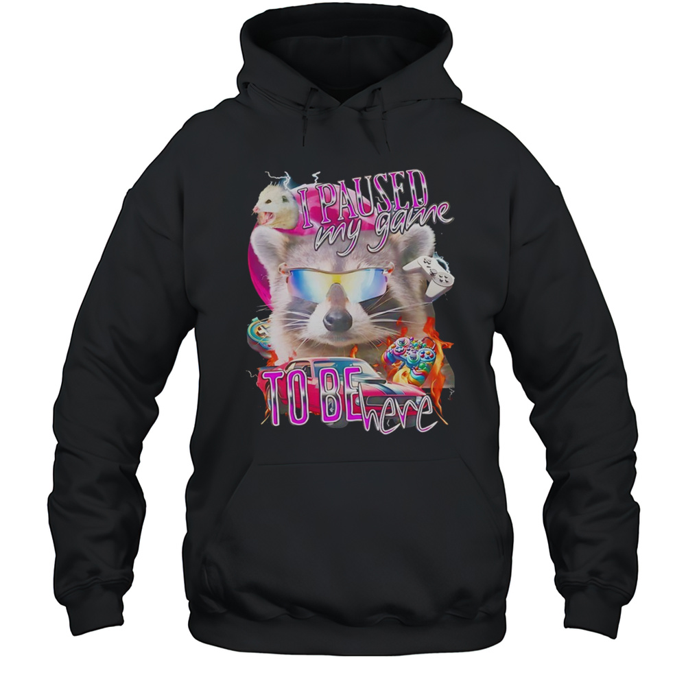 Raccoon Wearing Glass I Paused My Game To Be Here Shirt Unisex Hoodie