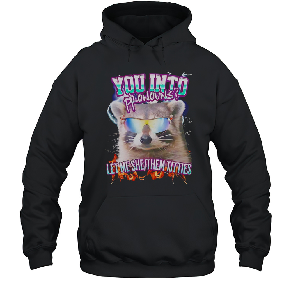 Raccoon You Into Pronouns Let Me She Them Titties Shirt Unisex Hoodie