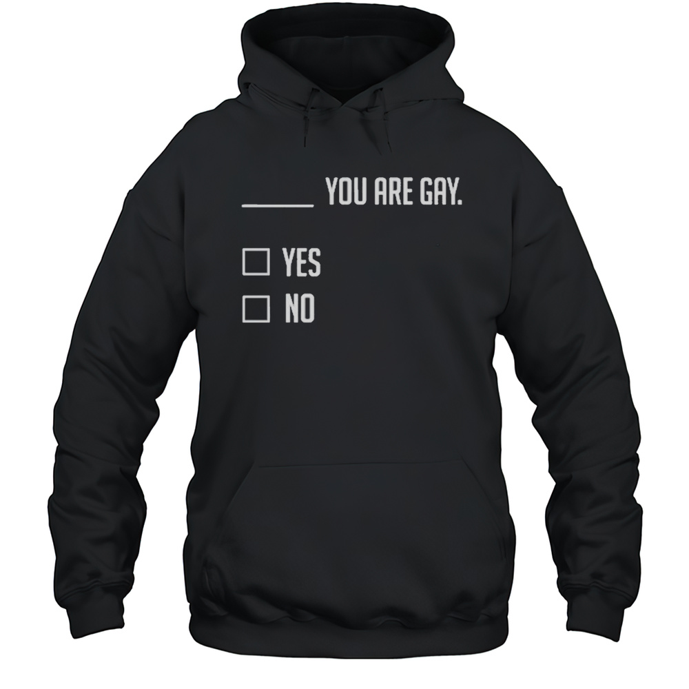 You Are Gay Yes No T-Shirt Unisex Hoodie