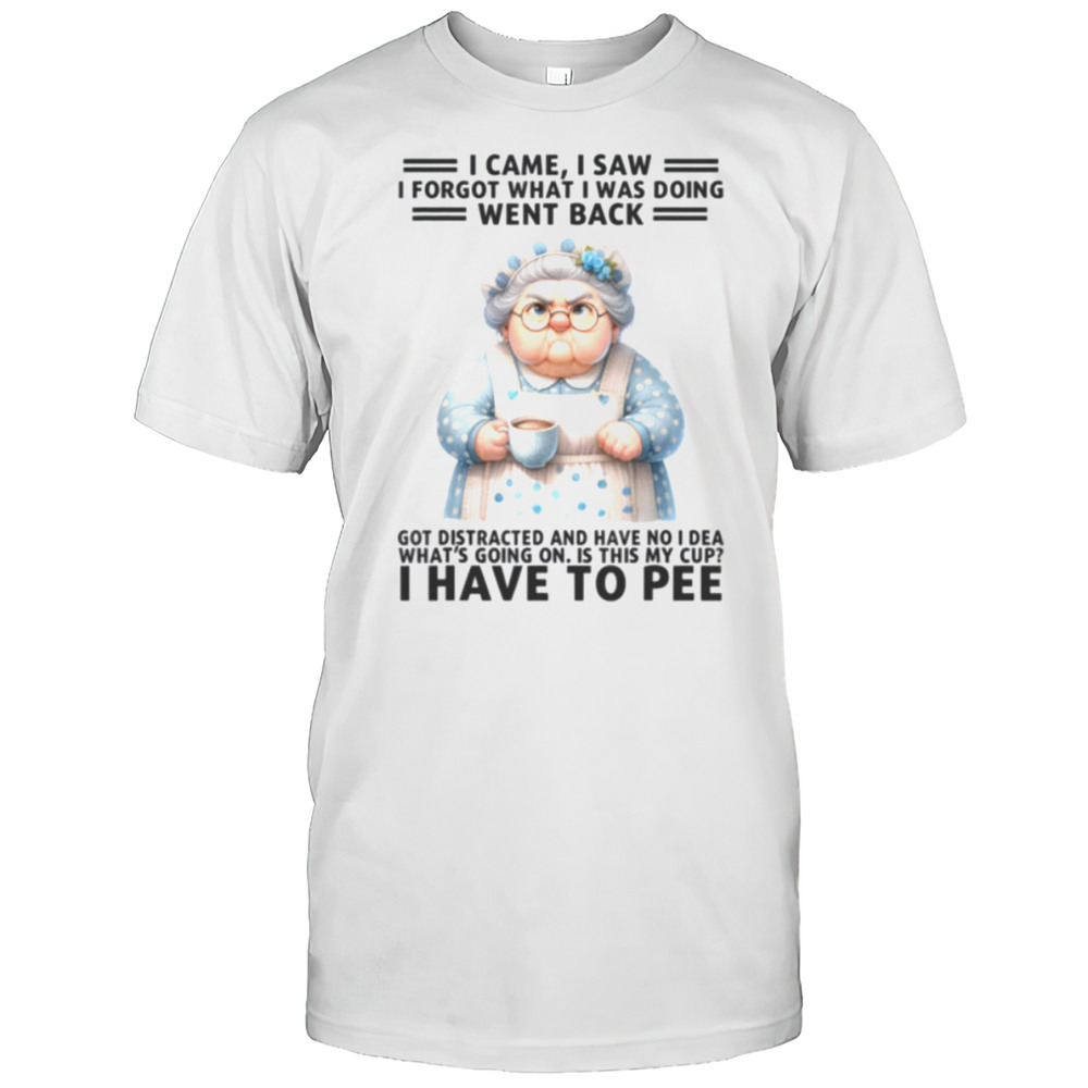 I Came I Saw Im Forgot What I Was Doing Went Back Got T Shirt