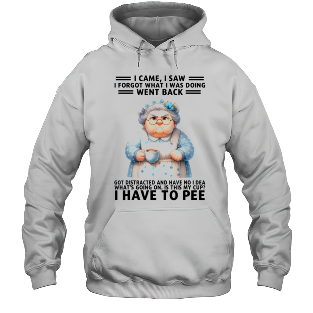 I Came I Saw Im Forgot What I Was Doing Went Back Got T Shirt Unisex Hoodie