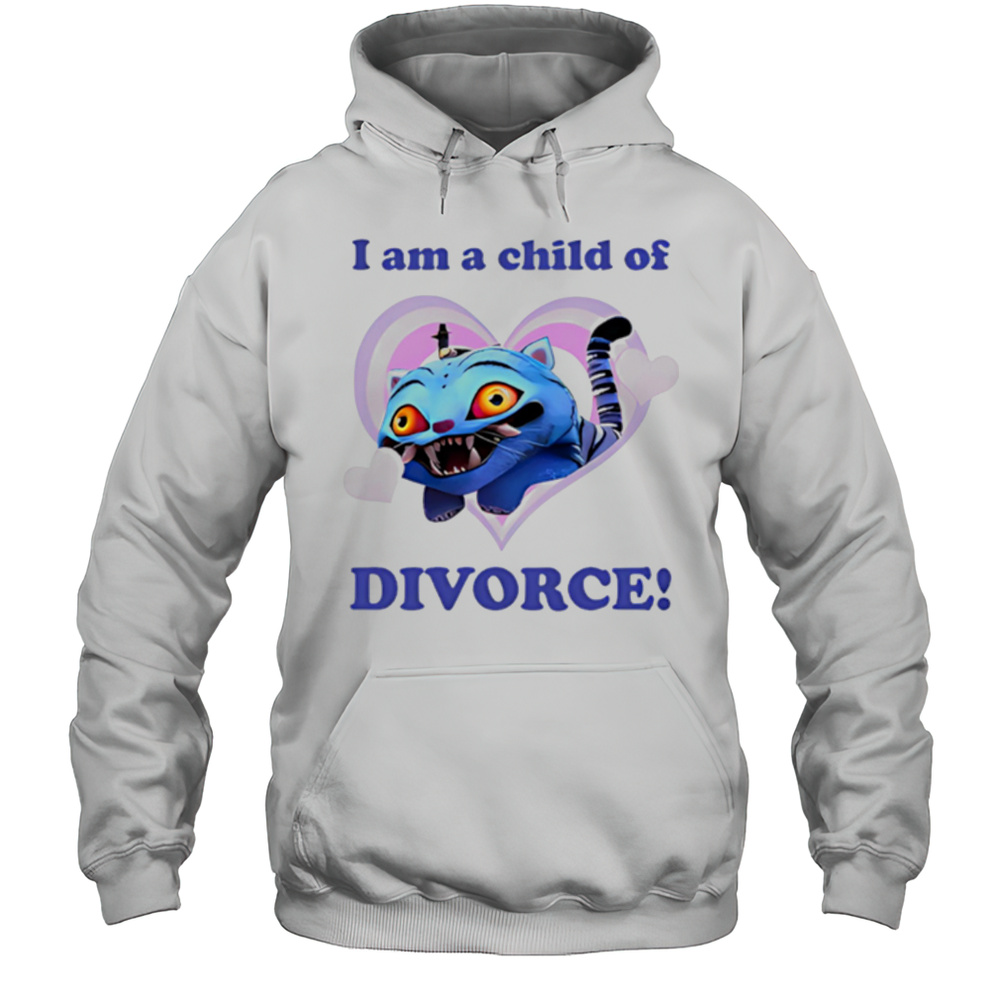 Derpy I Am A Child Of Divorce Shirt Unisex Hoodie