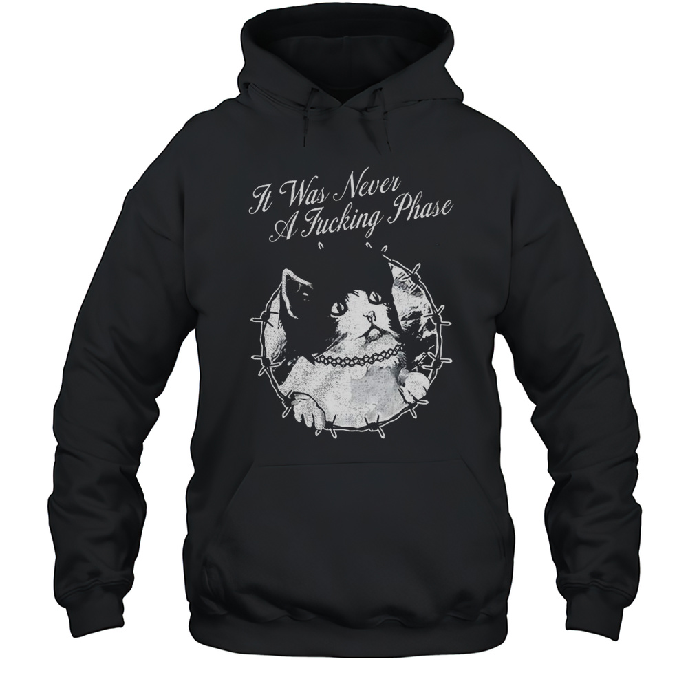 It Was Never A Fucking Phase Cat T-Shirt Unisex Hoodie