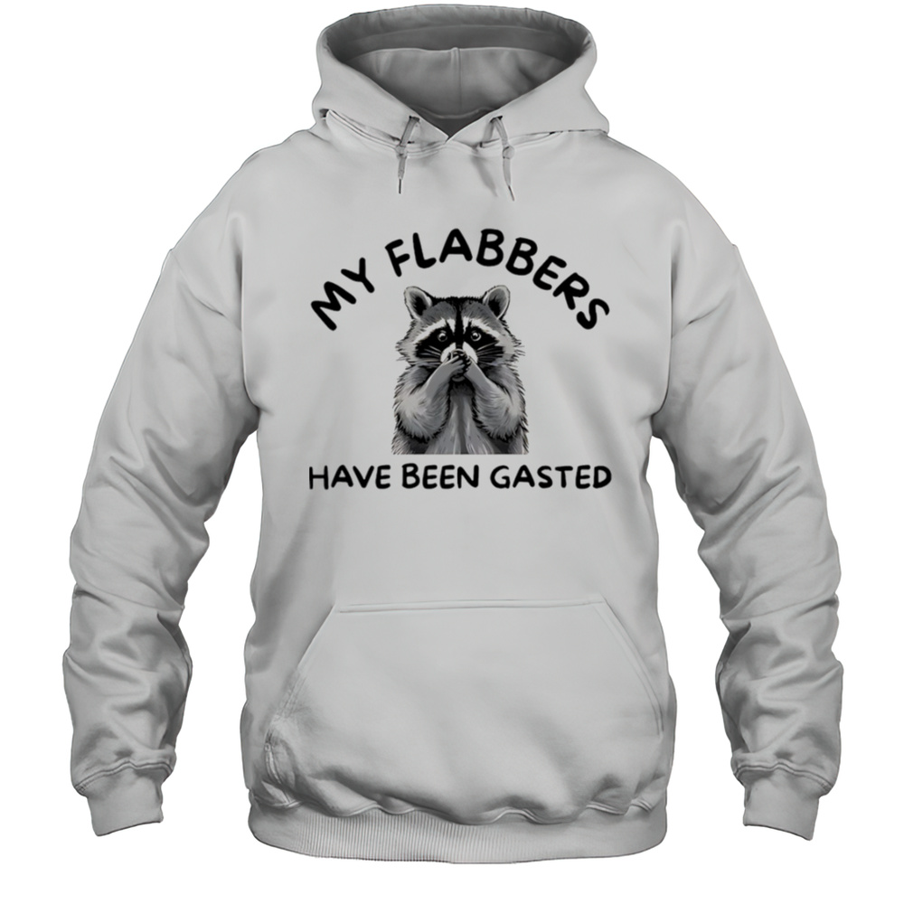 My Flabbers Have Been Gasted Raccoon Shirt Unisex Hoodie