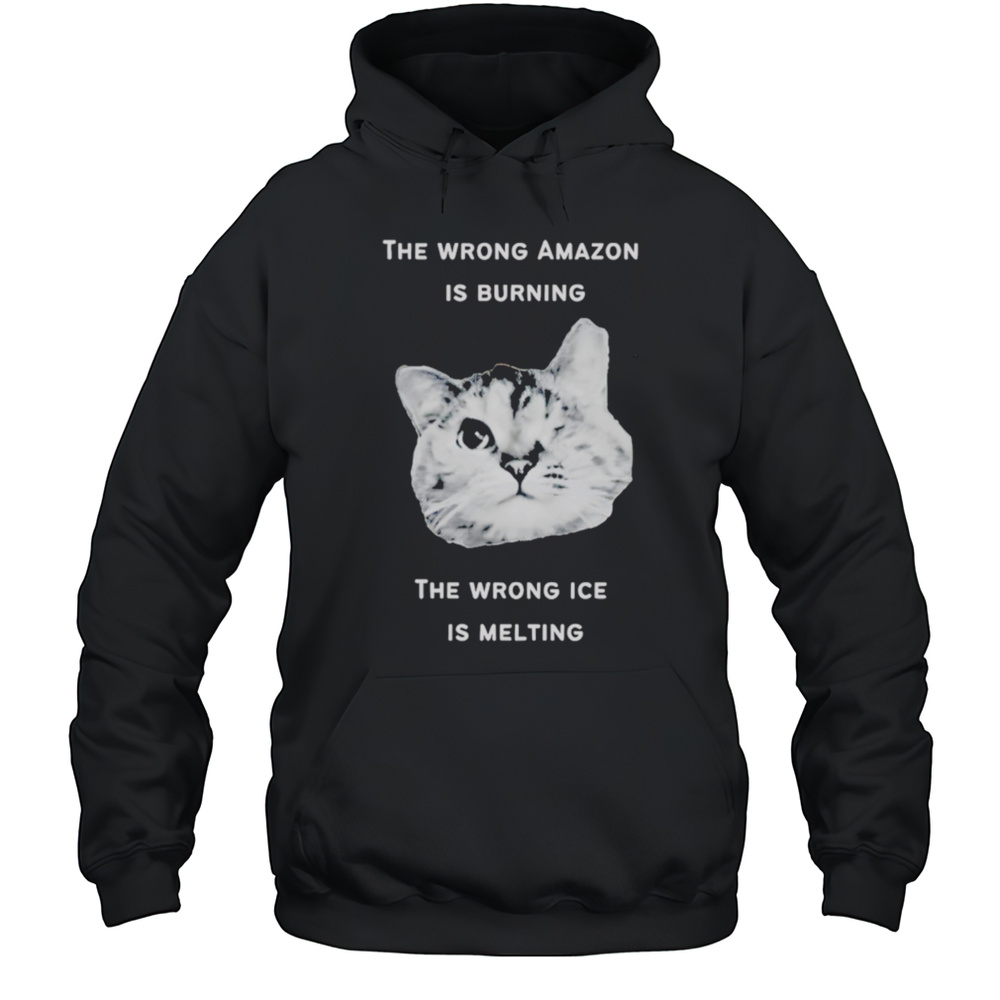 The Wrong Amazon Is Burning The Wrong Ice Is Melting Head Cat Shirt Unisex Hoodie