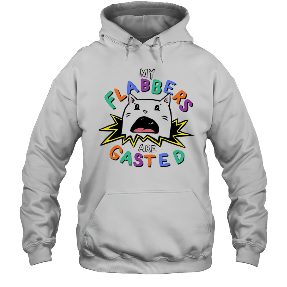 My Flabbers Are Gasted Cat Shirt Unisex Hoodie