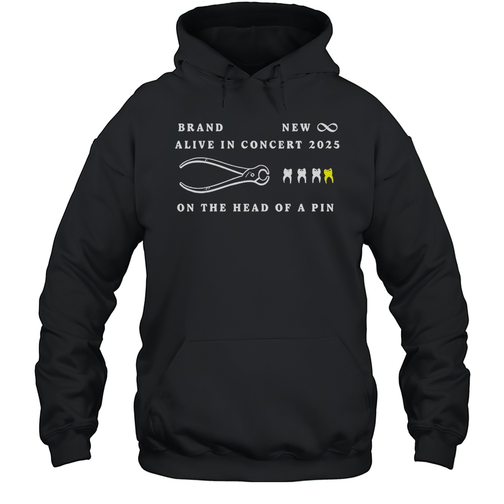 Brand New Alive In Concert 2025 On The Head Of A Pin Shirt Unisex Hoodie