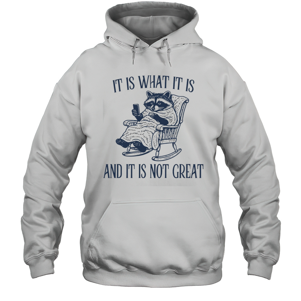 Raccoon It Is What It Is And It Is Not Great Shirt Unisex Hoodie
