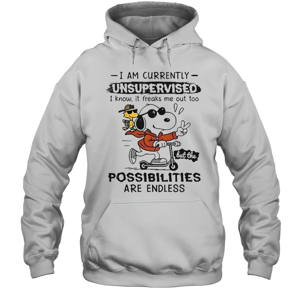 Snoopy Woodstock I Am Currently Unsupervised I Know It Freaks Me Out Too T-Shirt Unisex Hoodie