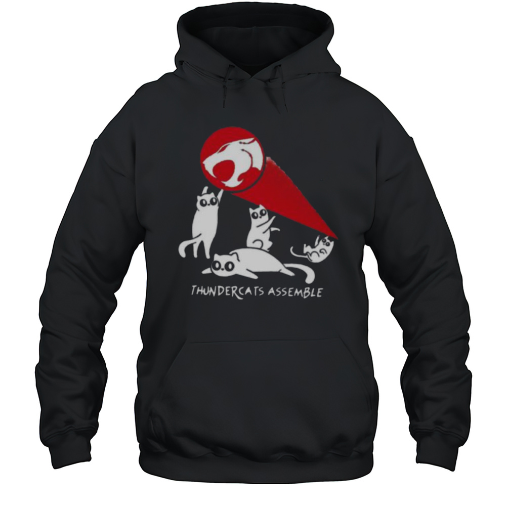 Thundercats Assemble Shirt Unisex Hoodie