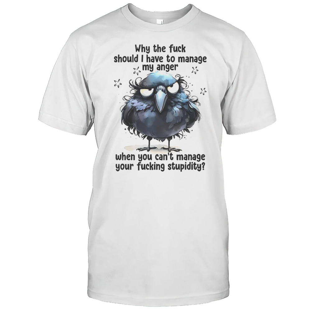 Raven Why The Fuck Should I Have To Manage My Anger Fucking Stupidity Shirt