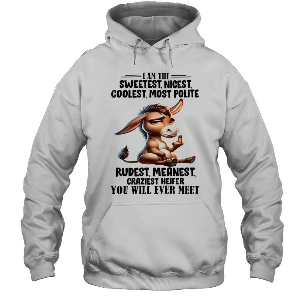 Donkey I Am The Sweetest Nicest Coolest Most Polite Rudest Shirt Unisex Hoodie