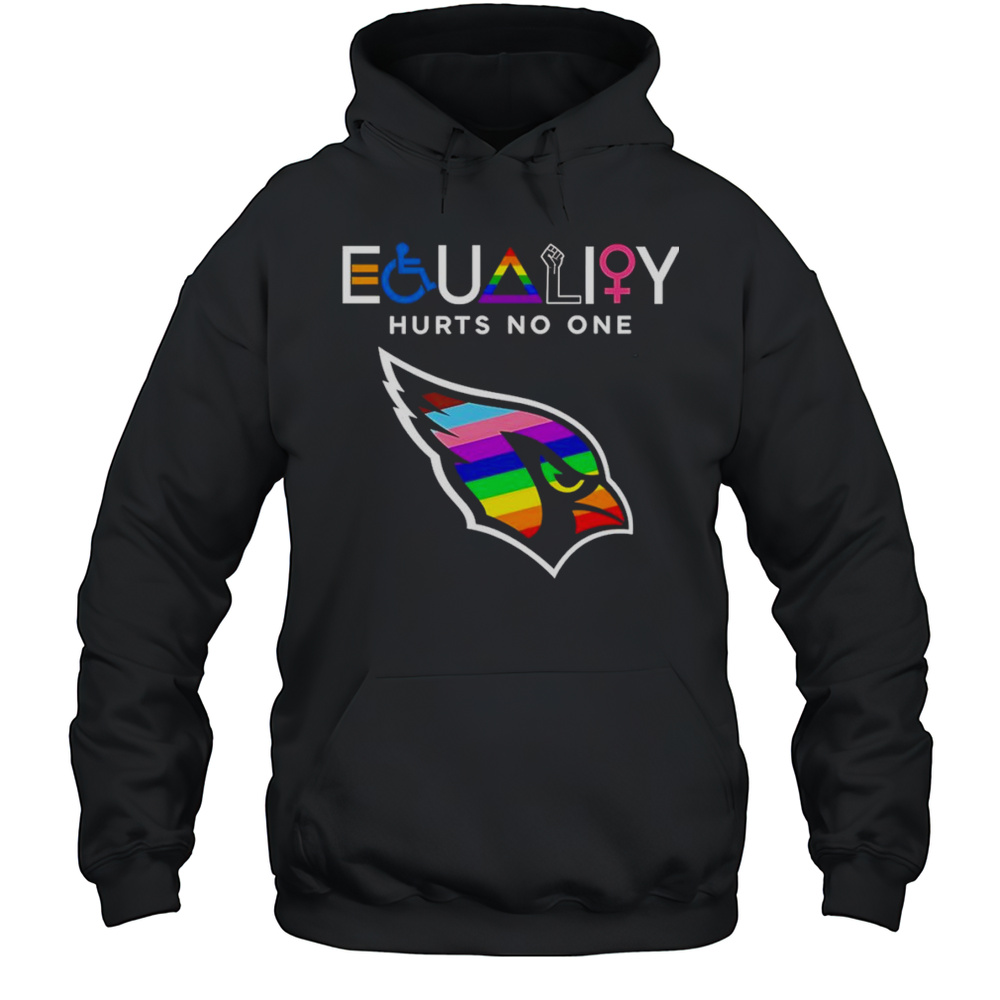 Equality Hurts No One Arizona Cardinals Shirt Unisex Hoodie