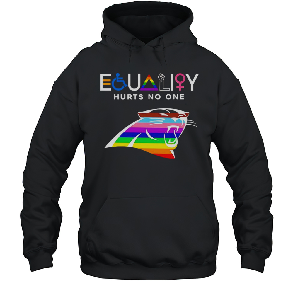 Equality Hurts No One Carolina Panthers Shirt Unisex Hoodie