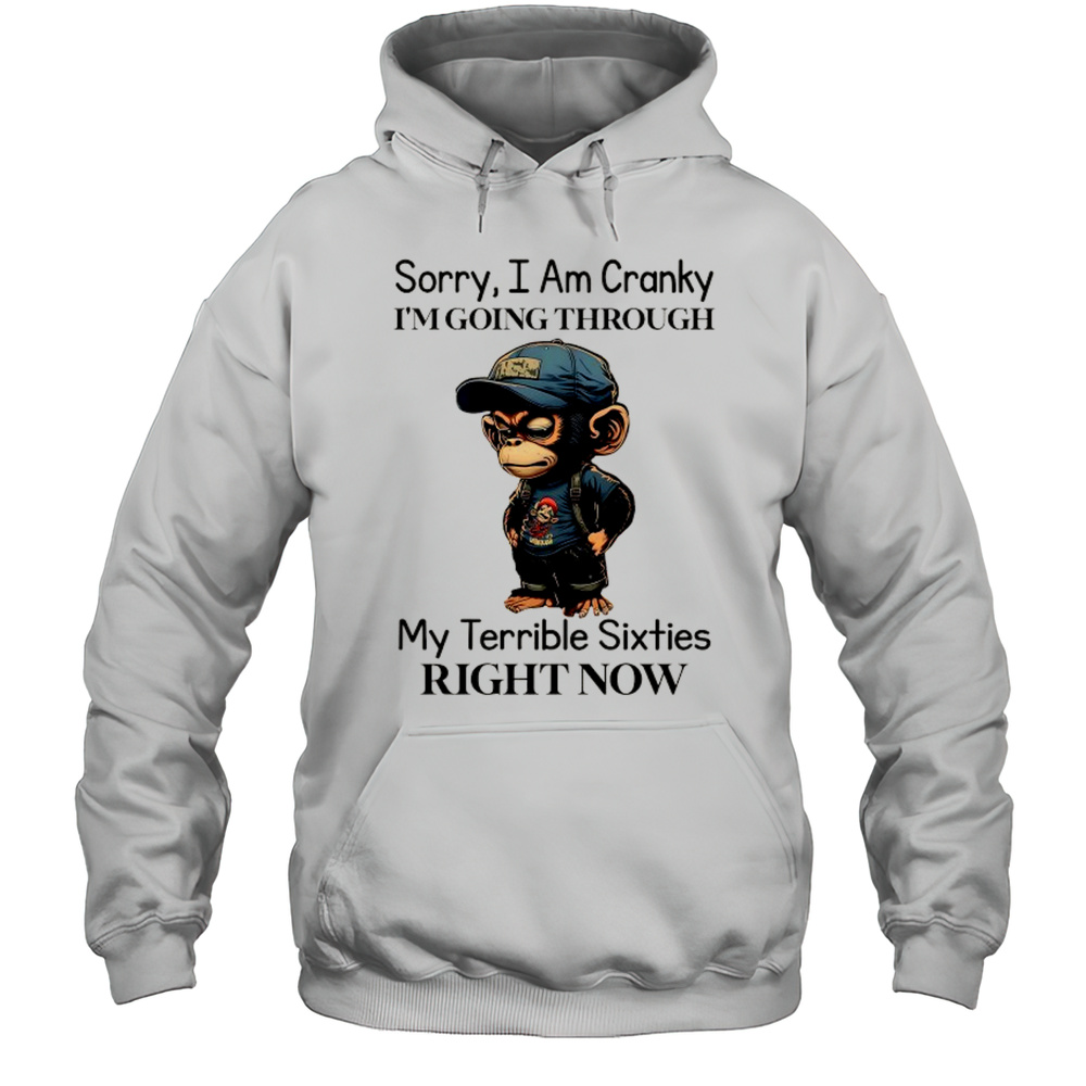 Baby Monkey Sorry I Am Cranky Im Going Through My Terrible Sixties Right Now Shirt Unisex Hoodie