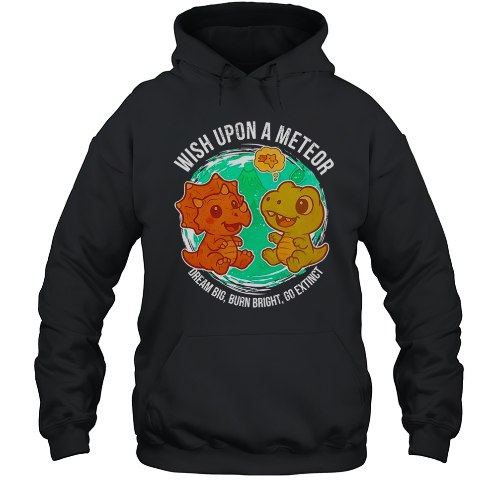 Dragon And Dinosaur Wish Upon A Meteor Dream Big Burn Bright Go Extinct Shirt Unisex Hoodie